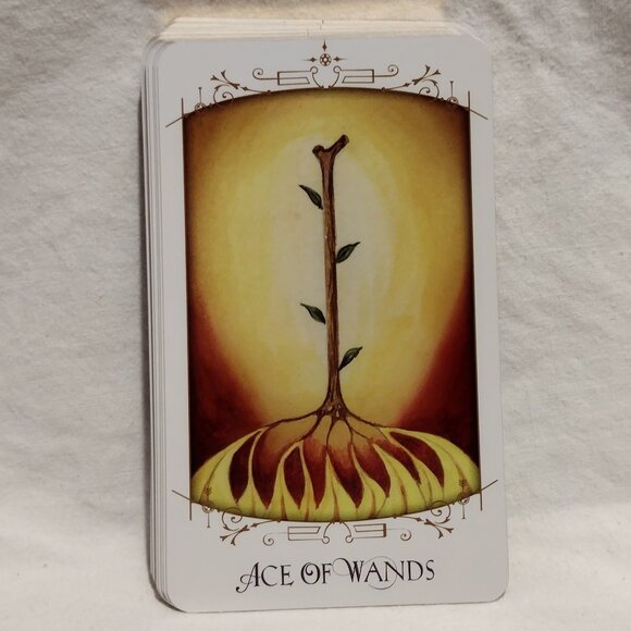 Insight Tarot - Picture 11 of 14